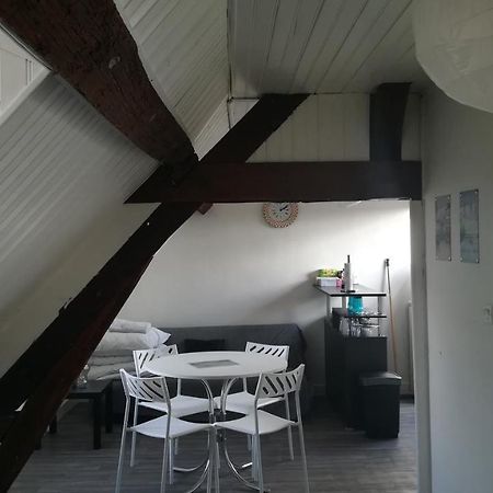 Appartement Spacieux Vue Sur Loire Proche Du Centre Блоа Екстериор снимка