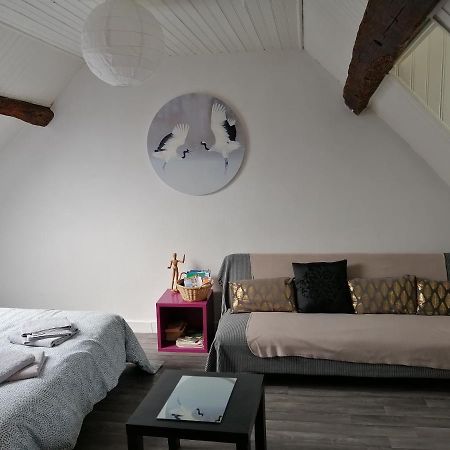Appartement Spacieux Vue Sur Loire Proche Du Centre Блоа Екстериор снимка