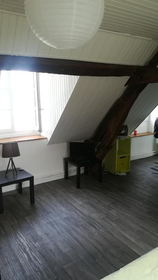 Appartement Spacieux Vue Sur Loire Proche Du Centre Блоа Екстериор снимка