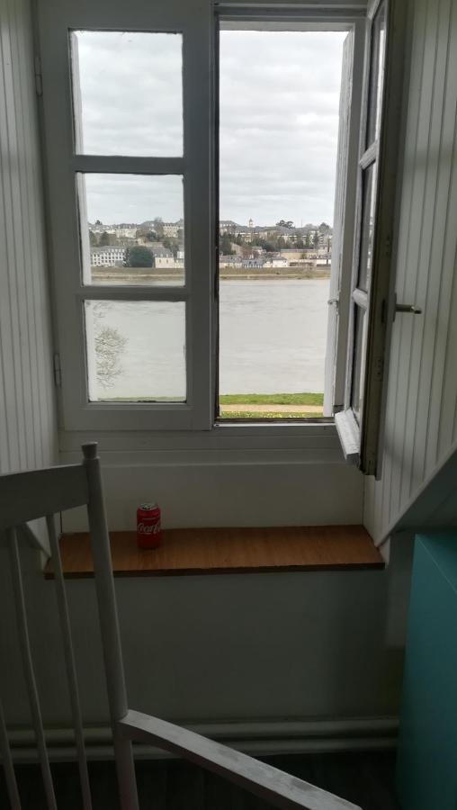Appartement Spacieux Vue Sur Loire Proche Du Centre Блоа Екстериор снимка