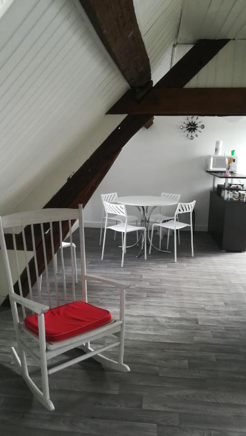 Appartement Spacieux Vue Sur Loire Proche Du Centre Блоа Екстериор снимка