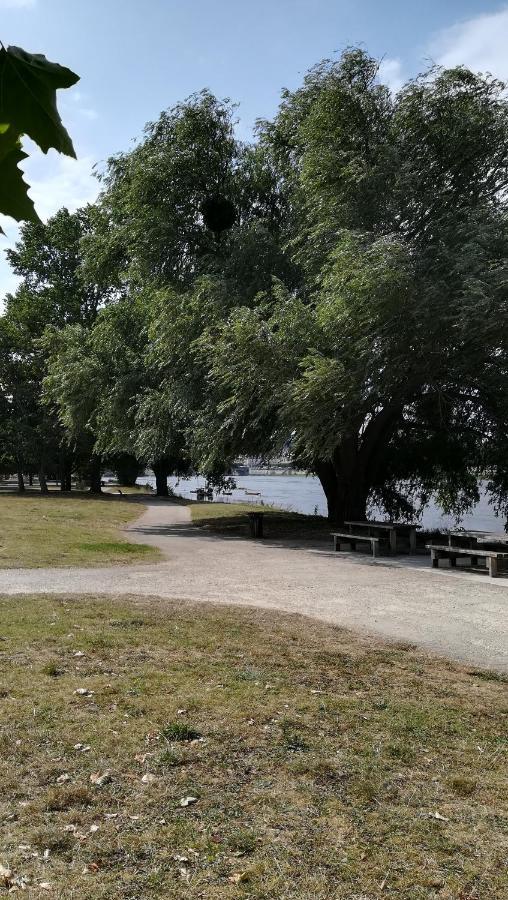 Appartement Spacieux Vue Sur Loire Proche Du Centre Блоа Екстериор снимка