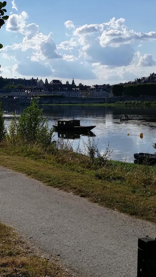 Appartement Spacieux Vue Sur Loire Proche Du Centre Блоа Екстериор снимка