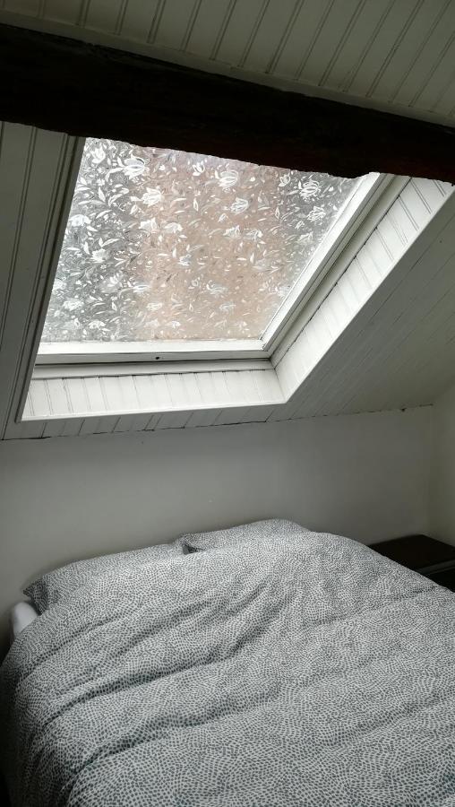 Appartement Spacieux Vue Sur Loire Proche Du Centre Блоа Екстериор снимка