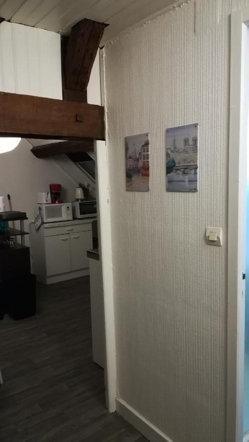 Appartement Spacieux Vue Sur Loire Proche Du Centre Блоа Екстериор снимка