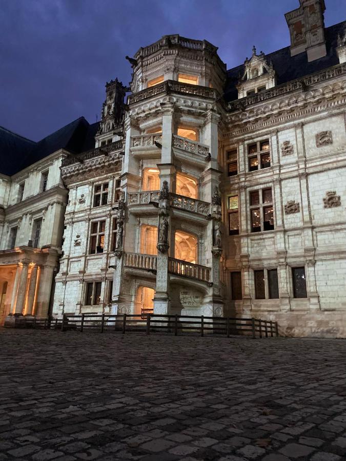Appartement Spacieux Vue Sur Loire Proche Du Centre Блоа Екстериор снимка